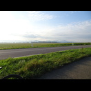 Im Osten begrenzt der Schwarzwald die Rheinebene